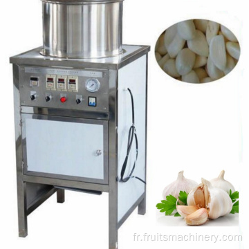 Machine de fabrication de pâte de gingembre et ligne de production complète